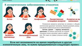 Цезарь Сателлит Владимир: деятельность и уровень зарплат в МТС
