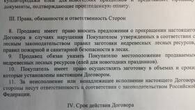 Как написать сумму с копейками прописью в МТС
