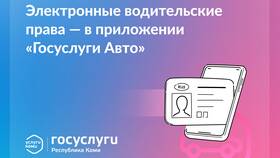 Как оформить водительские права через Госуслуги в МТС