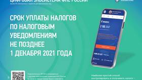 Как оплатить задолженность в ФНС в МТС