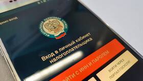 Как узнать по ИП за что долг в МТС
