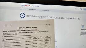 Какие справки можно получить через Госуслуги в МТС