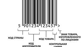 Последние 6 цифр паспорта: что они означают в МТС