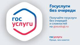 Сколько ждать ответ на Госуслугах