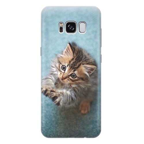 Чехол RE:PA для Samsung Galaxy S8 с принтом Котёнок на голубом в МТС